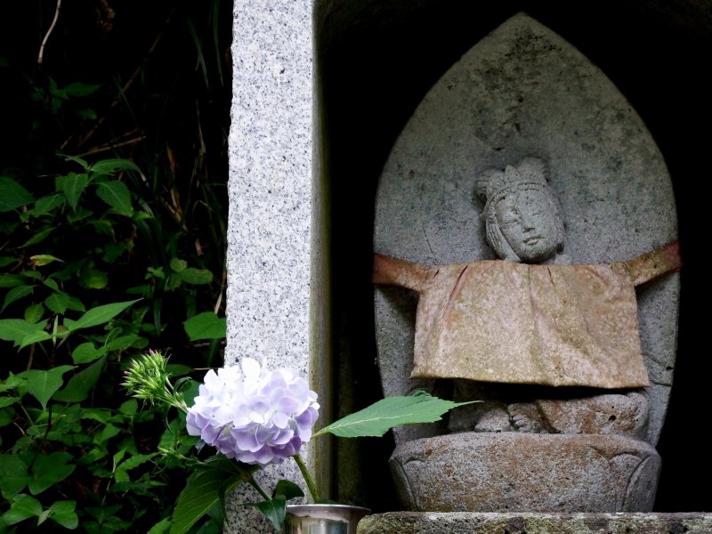 Маленькая статуя Дзидзо и гортензия, которые я увидела на пути к храму Дайандзэндзи