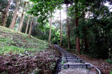 Нужно подниматься вверх выше и выше прямо в лес, чтобы добраться до кладбища клана Мацудайра