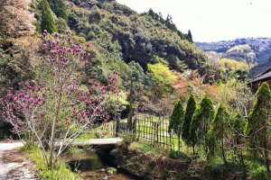 Some of the scenery at the base of Wakamiya Onsen