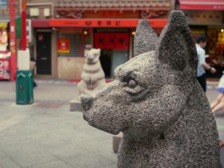 A dog statue in the main street.