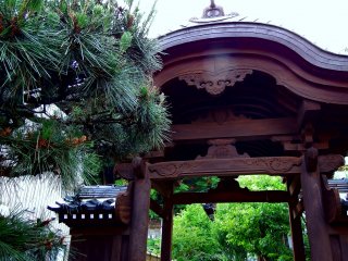 후쿠이 타이세이인 사원의 우거진 입구