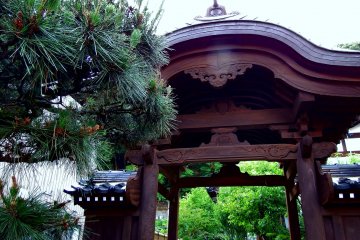 Taisei-in Temple, Fukui