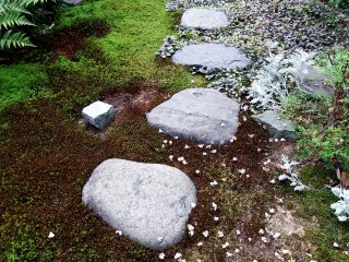 寺の小さな庭園に敷かれた踏み石