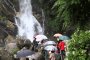 Hoa tú cẩm tú cầu tại thác Mikaeri