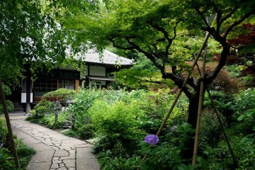<p>The garden of Jokei-ji is green and beautiful</p>