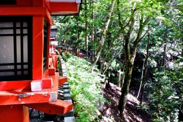 <p>Red lanterns lining the stairs</p>