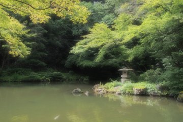 <p>A large pond in the Naritasan&nbsp;Park. One of the most peaceful, quiet places I have ever been to</p>