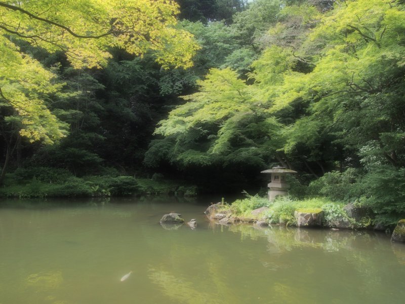 <p>A large pond in the Naritasan&nbsp;Park. One of the most peaceful, quiet places I have ever been to</p>