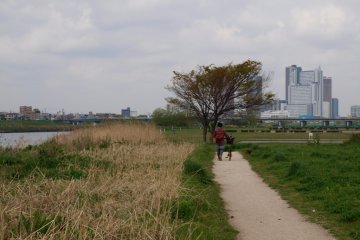 Lone cyclist on the riverside path