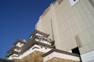 Himeji castle creeping out of its box
