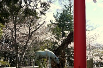 <p>Statue of a deer beside a red torii</p>