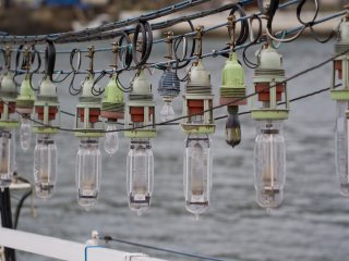 Một đặc điểm nổi bật của tàu câu mực là đèn gắn trên tàu để thu hút những con mực trong lúc đi câu ban đêm