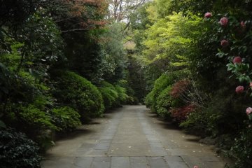 Passing through the entrance gate, a stone pavement with well-kept plants leads you to the grounds.