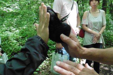 <p>A real stuffed bear paw brought by the guide</p>