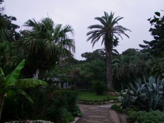 A botanical garden with plenty of places to walk