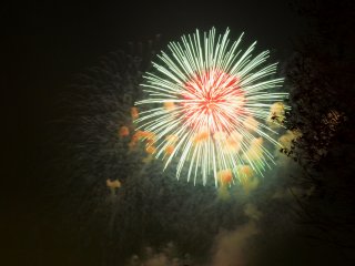 Beautiful firework display at&nbsp;Tachikawa Showa Kinen Park!&nbsp;
