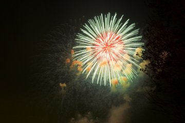 <p>Beautiful firework display at&nbsp;Tachikawa Showa Kinen Park!&nbsp;</p>
