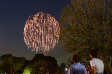 <p>Mesmerised by beauty, a couple looks on as the fireworks rain down like a meteorite shower.</p>