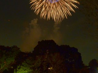 Beautiful firework display at Tachikawa Showa Kinen Park!