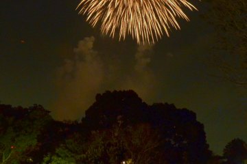 <p>Beautiful firework display at Tachikawa Showa Kinen Park!</p>