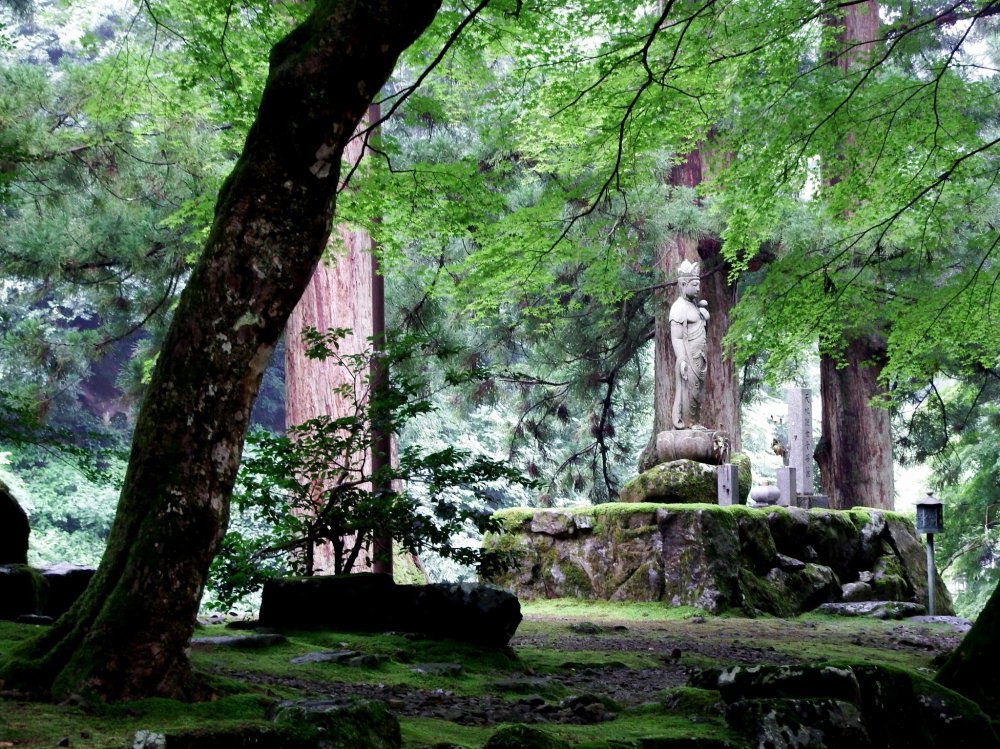 Statue of Goddess of Mercy in a green forest