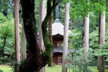 <p>Graceful view of two-storied pagoda, &#39;Hōontō&#39;, seen through tall cedar trees</p>