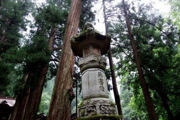Tall stone lantern standing with giant cedar trees in the background