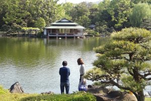 สวนคิโยะสุมิ มีเรือนน้ำชาที่ตั้งอยู่ริมสระน้ำรายล้อมไปด้วยพรรณาไม้นานาชนิด