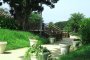 江之岛：植物园