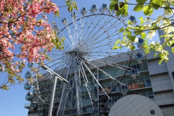 Sunshine Sakae's 42m diameter Ferris Wheel