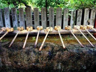 みそぎのための竹柄杓が並ぶ手水舎