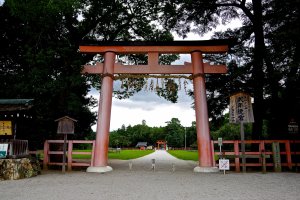 A long approach cuts through a wide open field between these two&nbsp;torii gates