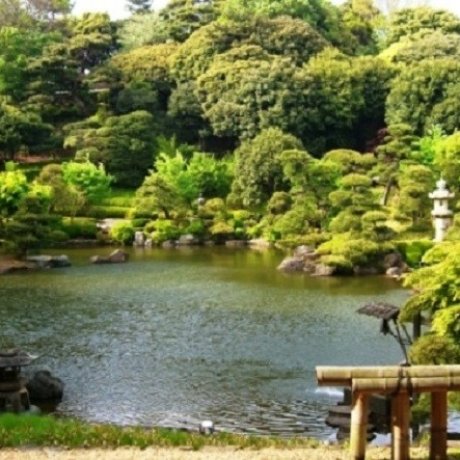 池上本門寺の小堀遠州作「松濤園」が特別公開