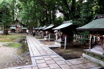 <p>Inside &#39;Kushanomiya (Nine Shrines)&#39;, there are nine smaller, similar shrines lined up</p>