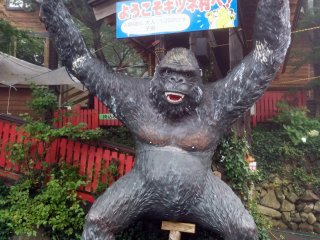 Anda di tempat yang benar saat melihat gorila yang menjadi lambang di pintu masuk desa rubah