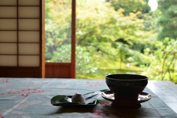 <p>Enjoying the beautiful garden scene with a cup of green tea.</p>