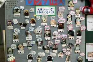 Choose from the large selection of dogs available to rent from this bulletin board.