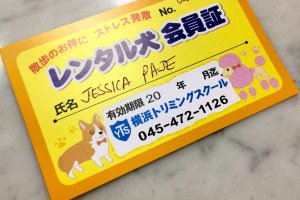 ５００円で一年間有効のメンバーシップ登録がレンタルドッグに必要です