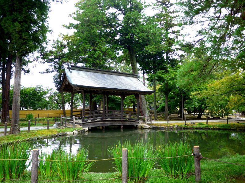 <p>The pond featured an unusual covered wooden bridge</p>