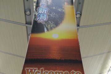 <p>Welcome to Niigata</p>
