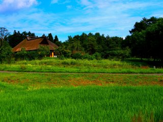 Traditional Japanese farmhouses dot the picturesque landscape