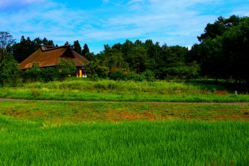 <p>Traditional Japanese farmhouses dot the picturesque landscape</p>