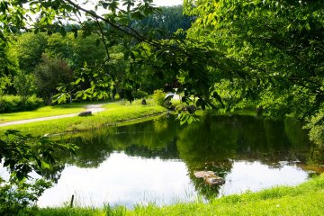 <p>A reflection of the perfect landscape on the crystal clear water of a pond in Furusato Mura</p>