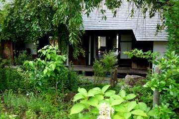 <p>Looking into the back of the house from the garden</p>