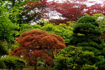 <p>While it is famous for cherry blossoms in spring, the park is full of beautiful colours in summer</p>