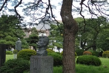 <p>The tree and the statue of Lu Xun in Katahira Campus of Tohoku University</p>