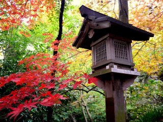 Đèn lồng bằng gỗ bao quanh với màu sắc mùa thu