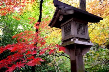 <p>Wooden lantern surrounded with autumn color</p>