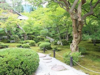 Enkoji's gardens have a striking beauty