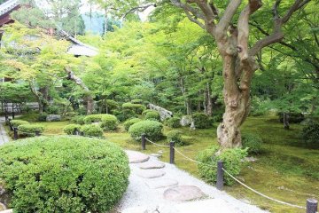 Enkoji's gardens have a striking beauty
